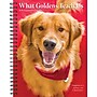 2026 Willow Creek What Goldens Teach Us 6.5" x 8.5" Daily & Monthly Personal Organizer (54680)~#|#~55385442-AE56-49B0-9902BC53CA9266F3_sc7
