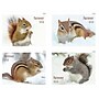 USPS Squirrels & Chipmunks in Snow Forever 20 Postage Stamps (FOR-SQUIRREL-20)~#|#~5556EB02-AE0E-4009-BE6B81AFBF2D161B_sc7