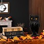 National Tree Company 11" Eerie Eyes Owl (OP77-XY014937-1)~#|#~55662B15-65AC-49DE-82B3EFE190A88E2B_sc7