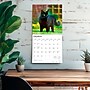 2026 BrownTrout Black Cats 12" x 12" Monthly Wall Calendar (9798330702480)~#|#~556F0D38-1D81-47B8-9F6459DD4A9ED657_sc7