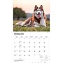 2027 BrownTrout For the Love of Siberian Huskies 14" x 12" Monthly Wall Calendar, Assorted Colors (9798330709274)~#|#~558871B9-7C8C-44BB-AFA9926224794E9D_sc7