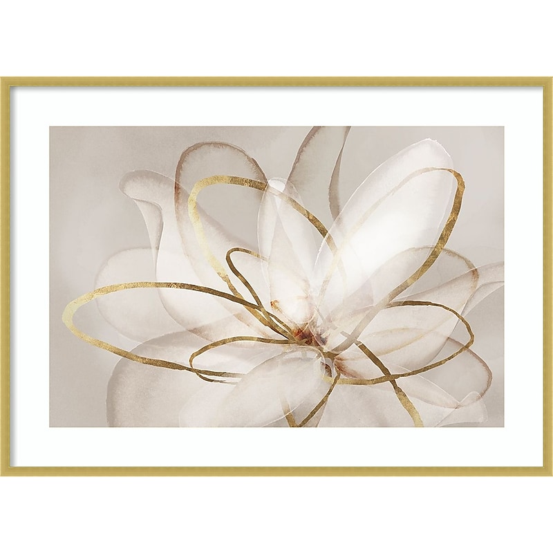 Amanti Art Transparent Beauty III (Floral) by Eva Watts Wood Framed Wall Art Print, 41" x 30" (A42677794069) image 1