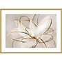 Amanti Art Transparent Beauty III (Floral) by Eva Watts Wood Framed Wall Art Print, 41" x 30" (A42677794069)~#|#~55A14E3B-4A2C-4624-88976104D50445A6_sc7