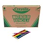 Crayola Classpack Watercolor Pencils, Assorted Colors, 240/Box (BIN687507)~#|#~55B55D5E-1A4F-4212-9AD174F12BA9630D_sc7