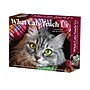 2026 Willow Creek What Cats Teach Us 6.2" x 5.4" Day-to-Day Calendar (54505)~#|#~55BF1E01-1415-4C20-9459BFCA80EF2A7B_sc7