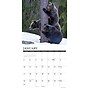 2027 Willow Creek Grizzlies  12" x 12" Monthly Wall Calendar (60575)~#|#~55D5093B-08BF-4D59-9EA6B9C6880CE7E3_sc7