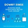 Downy Free & Gentle Rinse Laundry Odor Remover, Unscented, 48 oz. (10312)~#|#~55D89E62-8833-46BD-B9185BB2C09517A6_sc7