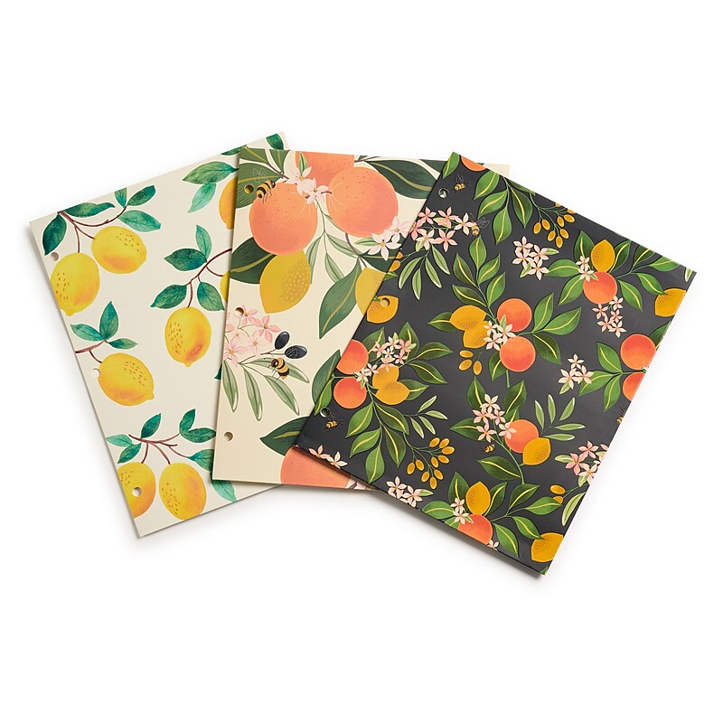 Eccolo Citrus Matte 1 Pocket Paper Folders, 3/Pack (ST835D) image 1