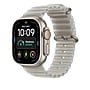 Apple Watch 49mm Translucent Gray Ocean Band, Natural Titanium Finish (MK7K4AM/A)~#|#~55F97289-C2AD-42A6-BB006749BB60D76A_sc7