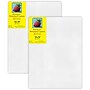 Strathmore 300 Series Primed White Stretched Canvas, 12" x 16", 2/Pack (STT31312-2)~#|#~56037B27-AD92-4E33-B5457B09E4B74B08_sc7