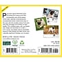 2027 Willow Creek Just Pugs 5.4" x 6.2" Day-to-Day Calendar (63699)~#|#~561F0D7E-8518-447B-B720110E15E9C89F_sc7