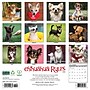2026 Willow Creek Chihuahua Rules 12" x 12" Monthly Wall Calendar (50682)~#|#~56371139-BA2C-4421-897552C05634BF15_sc7