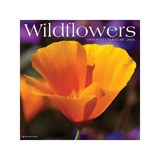 2024 Willow Creek Wildflowers 12" x 12" Monthly Wall Calendar (35986