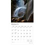 2026 BrownTrout Texas Wild & Scenic 12" x 12" Monthly Wall Calendar (9798330705825)~#|#~5661CA6D-A994-4830-97E265812F7B3D27_sc7