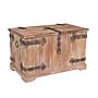Household Essentials Decorative Trunk (HH9542-1)~#|#~568E756F-F4C8-40C5-9ADD64F165B36598_sc7