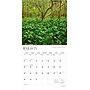 2026 BrownTrout Ohio Nature 12" x 12" Monthly Wall Calendar (9798330704941)~#|#~56999A3C-37B3-4573-8DF05E61D95AB6C3_sc7