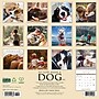2026 Willow Creek So God Made a Dog 12" x 12" Monthly Wall Calendar (52860)~#|#~569DAFA8-28FB-472F-8F946DE606BC864B_sc7