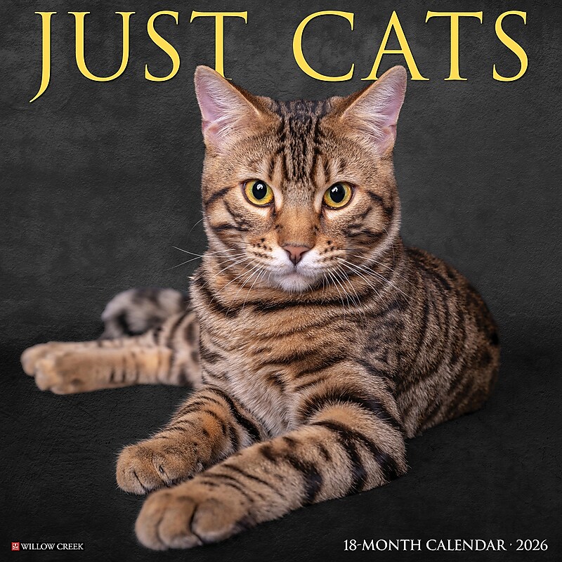 2026 Willow Creek Cats 12" x 12" Monthly Wall Calendar (50613) image 1