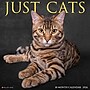 2026 Willow Creek Cats 12" x 12" Monthly Wall Calendar (50613)~#|#~56A2510B-EA48-41C4-B551263367CF360D_sc7