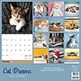 2026 TF Publishing Cat Dreams 12" x 12" Monthly Wall Calendar, Multi (26-1003)~#|#~56B94F3D-77D5-43E6-A292080859BFFDC4_sc7