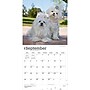2027 BrownTrout Maltese 12" x 12" Monthly Wall Calendar (9798330714742)~#|#~56C22ECC-234C-4977-8BCFB421D048E6FC_sc7