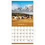2027 TF Publishing Horses 12" x 12" Monthly Wall Calendar (27-1012)~#|#~56CEFB3C-DA12-43C9-B35D7DE479F149B2_sc7