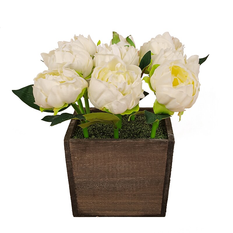 National Tree Company 10" White Peony Flowers in Wood Box (MT81-06326GWH-1) image 1