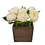 National Tree Company 10" White Peony Flowers in Wood Box (MT81-06326GWH-1)~#|#~56E066C8-B388-4A10-B52046893AF99EE7_sc7