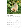 2026 BrownTrout I Love Puppies 12" x 12" Monthly Wall Calendar (9798330705283)~#|#~56F768E6-4445-455B-A67D7C1372A7B07A_sc7