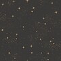 York Wallcoverings Upon A Star Peel and Stick Wallpaper (RMK11318WP)~#|#~570E9145-DFAE-4959-B5025BBE08175359_sc7