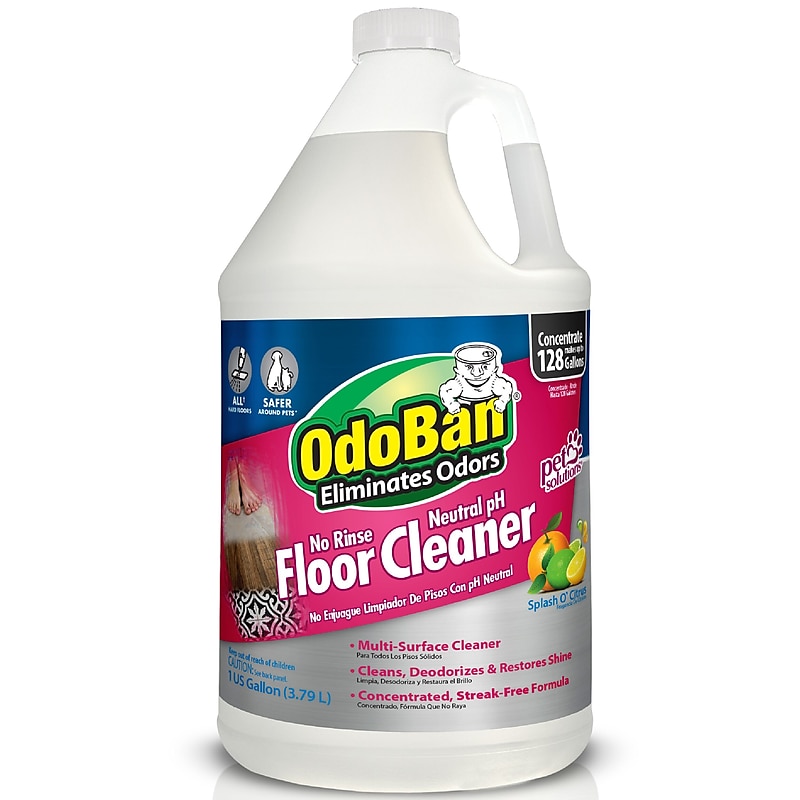 OdoBan Pet Solutions Floor Cleaner, Citrus Scent, 1 Gallon (9361B61-G4) image 1