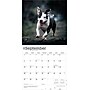 2026 BrownTrout American Pit Bull Terriers 12" x 12" Monthly Wall Calendar (9798330702091)~#|#~57517805-F7AC-4FFD-9410CBF90EA9850B_sc7