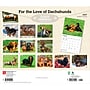 2027 BrownTrout For the Love of Dachshunds 14" x 12" Monthly Wall Calendar, Assorted Colors (9798330709243)~#|#~57587C4C-AD15-4C77-A92120534C54F5BD_sc7