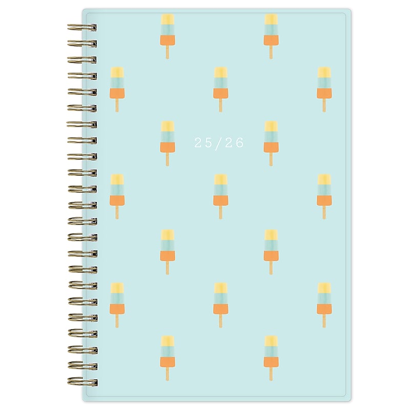 2025-2026 Blue Sky Popsicle 5" x 8" Academic Year Weekly & Monthly Planner, Plastic Cover, Multicolored (151437) image 1