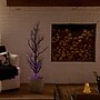 Nearly Natural Pre-Lit Artificial Halloween Black Spooky Twig Tree, 4' (T5235)~#|#~5772127F-01CE-49AF-99038C7766200C20_sc7