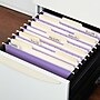 Staples Hanging File Folders, Letter, 1/5-Cut Tab, Letter Size, Purple, 25/Box (ST419200-CC)~#|#~57738629-0F06-43A7-9CC2271CD0915FF7_sc7