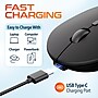Delton S16 Wireless Ambidextrous Optical Mouse, Black (DMS16-WR)~#|#~57842808-680F-46B4-848C97175E257732_sc7