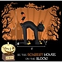 Haunted Hill Farm 10' Prelit Inflatable Black Cat (HIBCAT101-L)~#|#~5791052B-93A2-4480-83BB381F19DCA74B_sc7