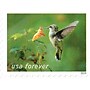 USPS Garden Delights Forever 20 Postage Stamps (FOR-GARDENDE-20)~#|#~57A5FCA9-2B27-4DBE-99299DAE927F2AD6_sc7