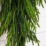 Nearly Natural Artificial Real Touch Norfolk Island Pine Teardrop, 3' (W1400)~#|#~57B1F658-52FC-445F-BBEE135D400CA216_sc7