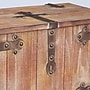 Household Essentials Decorative Trunk (HH9542-1)~#|#~57BC7973-2B5A-48B1-8905CB49959C2E26_sc7