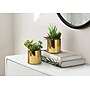 Monarch Specialties Inc. 7" Artificial Succulent Plant in Pot, 2/Set (I 9553)~#|#~57C0A7F5-6CB7-4E69-A2476CE6DFC54DCD_sc7