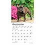 2027 BrownTrout French Bulldogs 7" x 7" Monthly Wall Calendar, Assorted Colors (9798330709991)~#|#~57C89159-AC66-459B-89BA707A0FA2D661_sc7