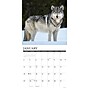 2026 Willow Creek Spirit of the Wolf 12" x 12" Monthly Wall Calendar (52884)~#|#~57E84A1F-7111-4B30-842E9F6843923503_sc7