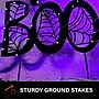 Haunted Hill Farm 2.3-Ft. LED Metal “Boo” Stake Decoration, Indoor & Covered Outdoor, Solar Powered, Black (HHMT027BOOWEB-BLK)~#|#~57EFE054-4E26-49AB-9A037F40CE64EC7C_sc7