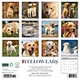 2026 Willow Creek Yellow Labs 12" x 12" Monthly Wall Calendar, Reversible (53355)~#|#~580119B9-F774-4638-8C6E61CFB60AAE60_sc7