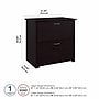 Bush Furniture Cabot 2 Drawer Lateral File Cabinet, Espresso Oak (WC31880)~#|#~58112B60-5E96-450E-9A059FAFA718235B_sc7