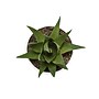 Monarch Specialties Inc. 6" Artificial Succulent Plant in Pot, 3/Set (I 9555)~#|#~58320C6D-6F4D-4F74-B01F923DFF00C8DD_sc7