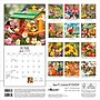 2026 BrownTrout Feathered Friends 12" x 12" Monthly Wall Calendar (9781773728780)~#|#~584125A3-1D98-4ABC-BC0E711815E1D4A9_sc7