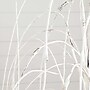 Nearly Natural 4-ft Pre-Lit Artificial White Weeping Willow Tree with 120 Warm White LED Lights (T4922)~#|#~5845FB7C-51BE-45AE-BC4BF3512DB36B0F_sc7